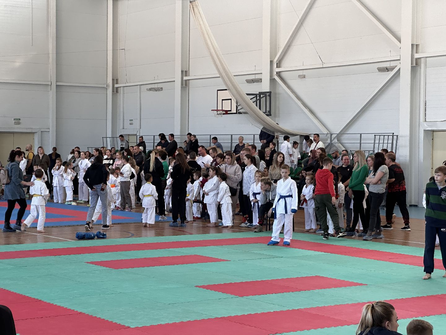 Клин, общество, спорт, каратэ, соревнования,