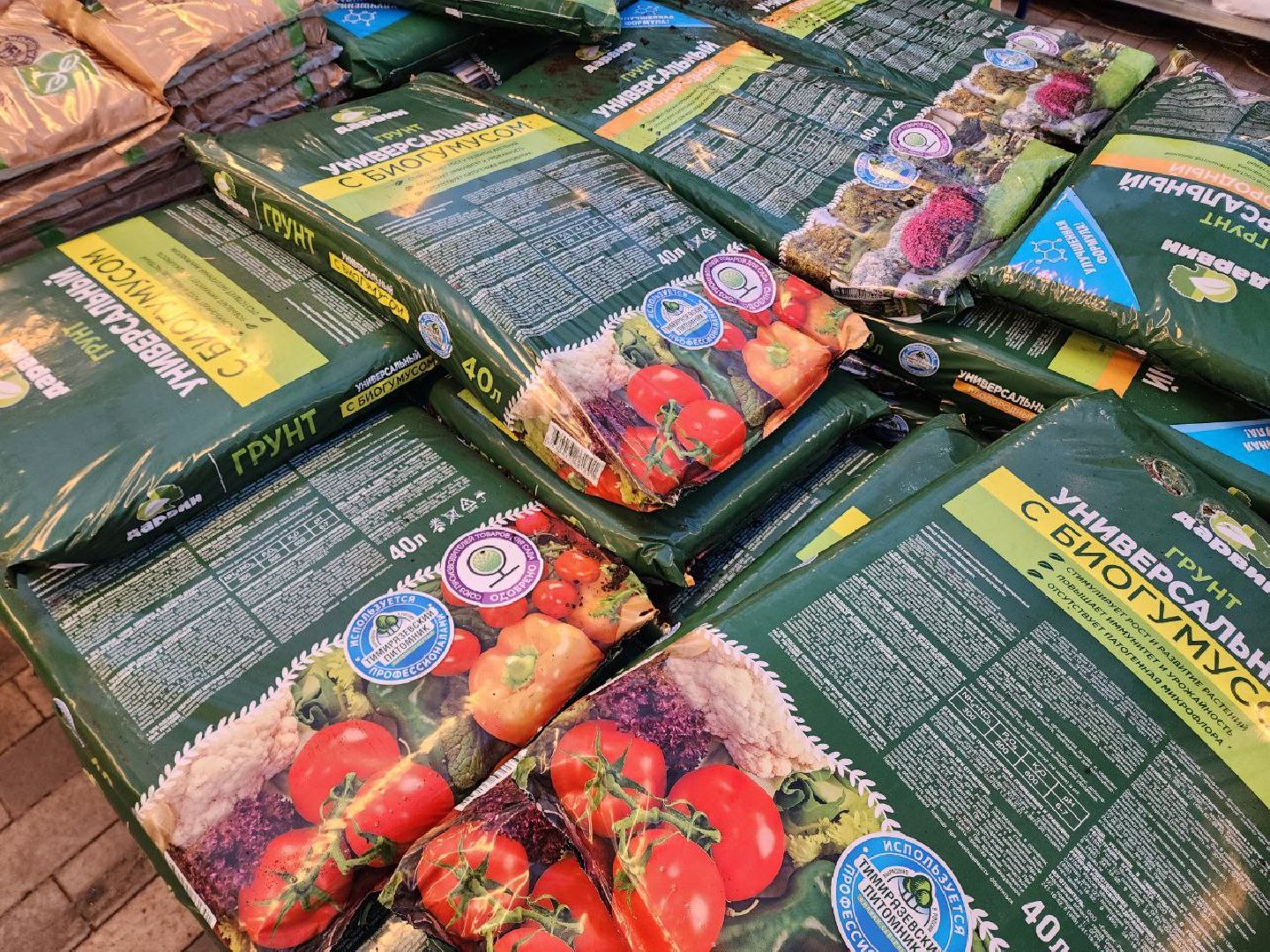 Солнечногорск, Огород, Садоводы, Растения, Дачники,