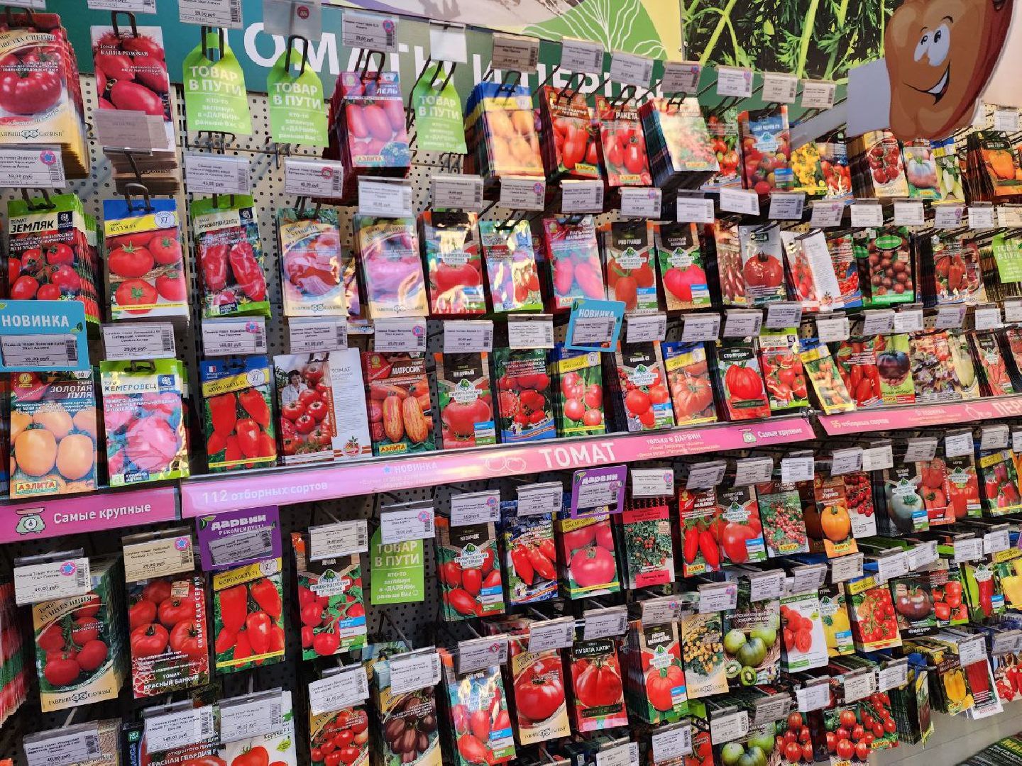 Солнечногорск, Огород, Садоводы, Растения, Дачники,