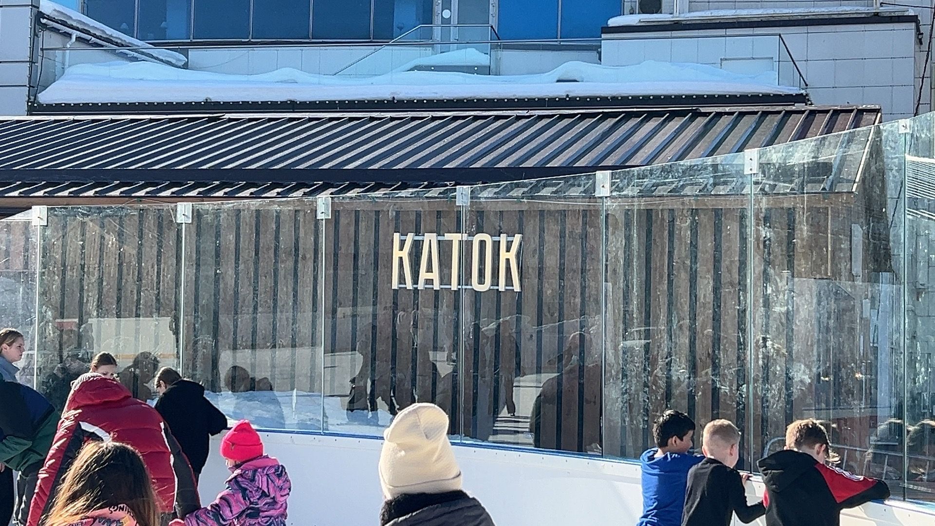 Солнечногорск, Каток, Жители, прокат коньков, лед,