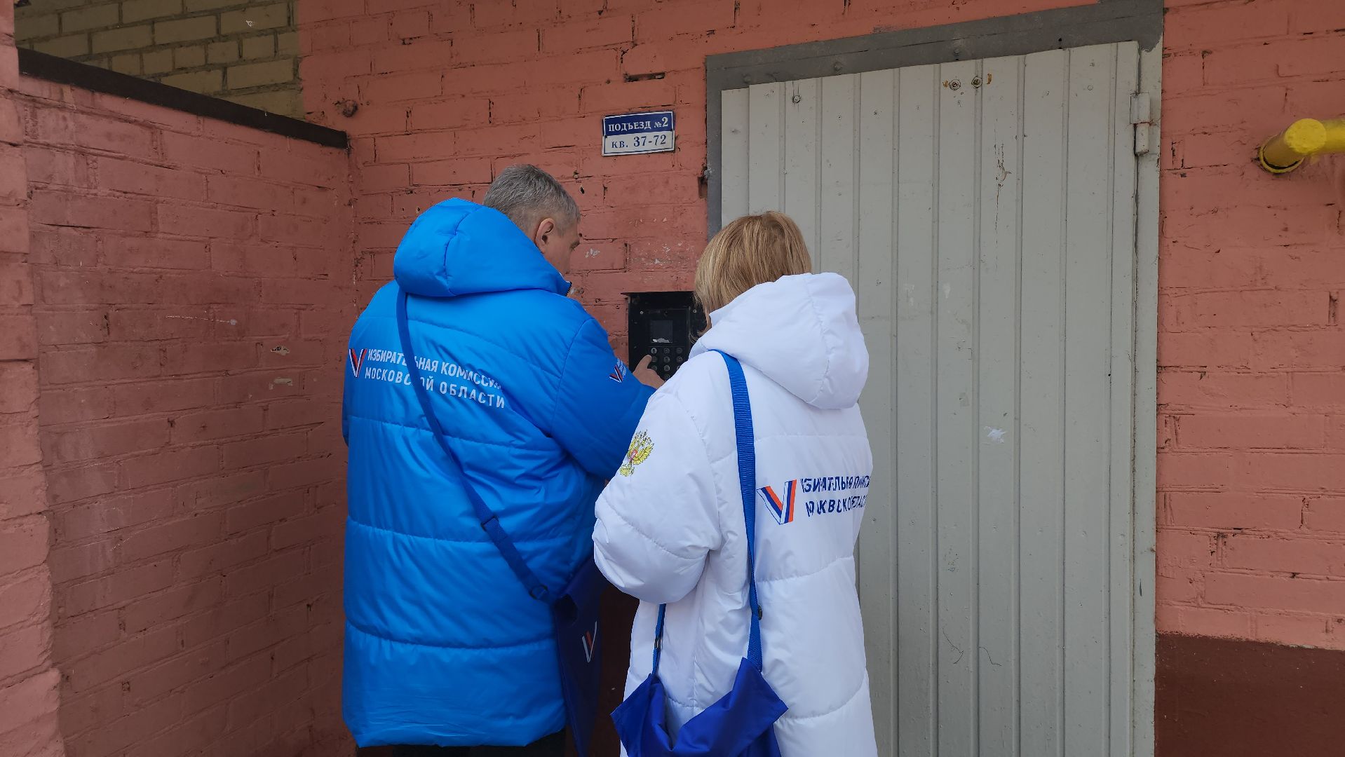 долгопрудный, выборы президента 2024, информаторы уик,