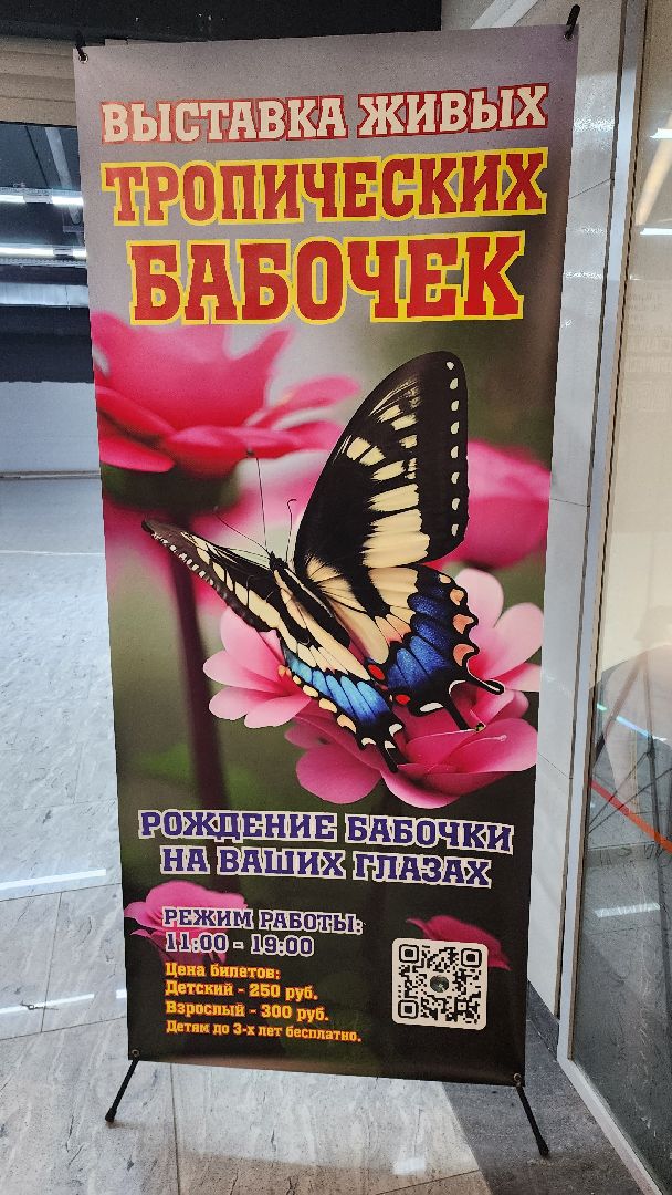 выставка бабочек, ТЦ Самолет, ул гагарина,