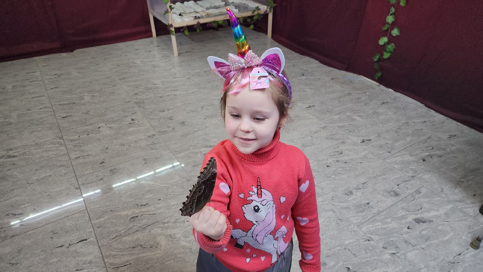 выставка бабочек, ТЦ Самолет, ул гагарина,