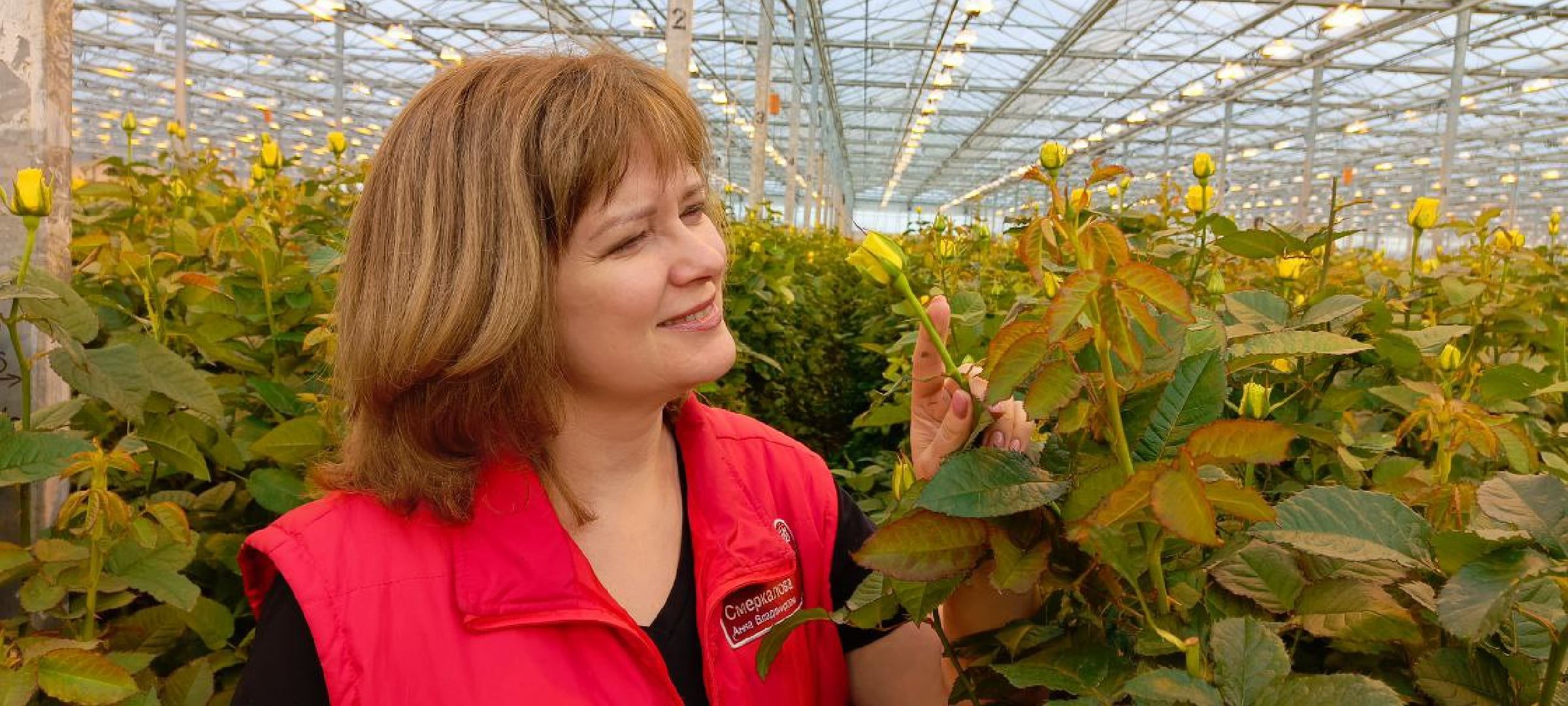 Дмитров, ТК Подосинки, Минсельхоз,