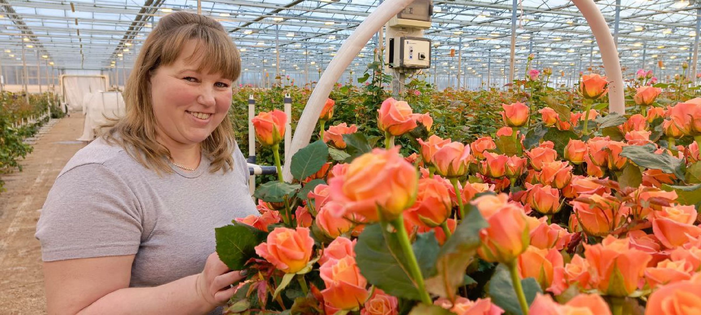 Дмитров, ТК Подосинки, Минсельхоз,