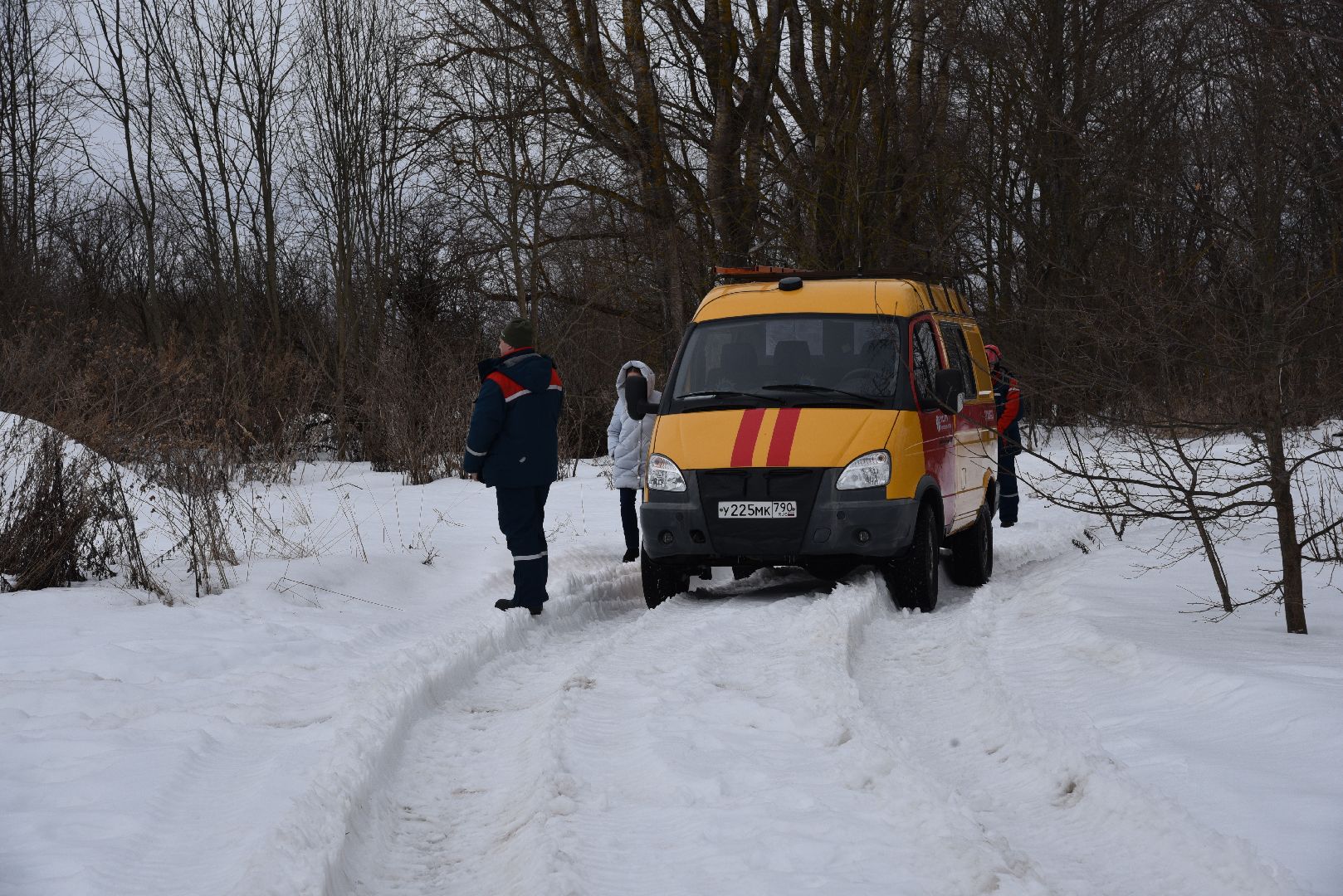 лотошино, россети московский регион», электричество, многодетная семья,