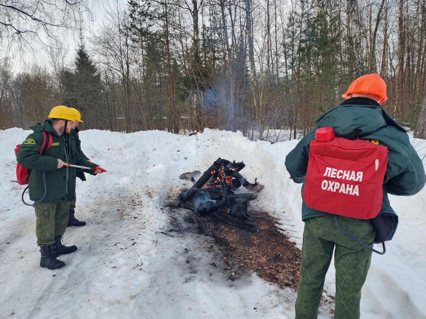 серпухов, подмосковье, русский лес, учения,