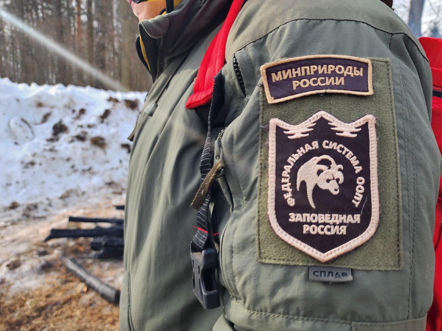 серпухов, подмосковье, русский лес, учения,