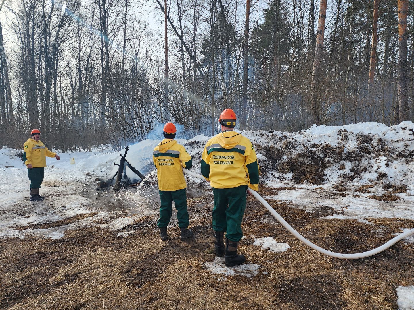 серпухов, подмосковье, русский лес, учения,