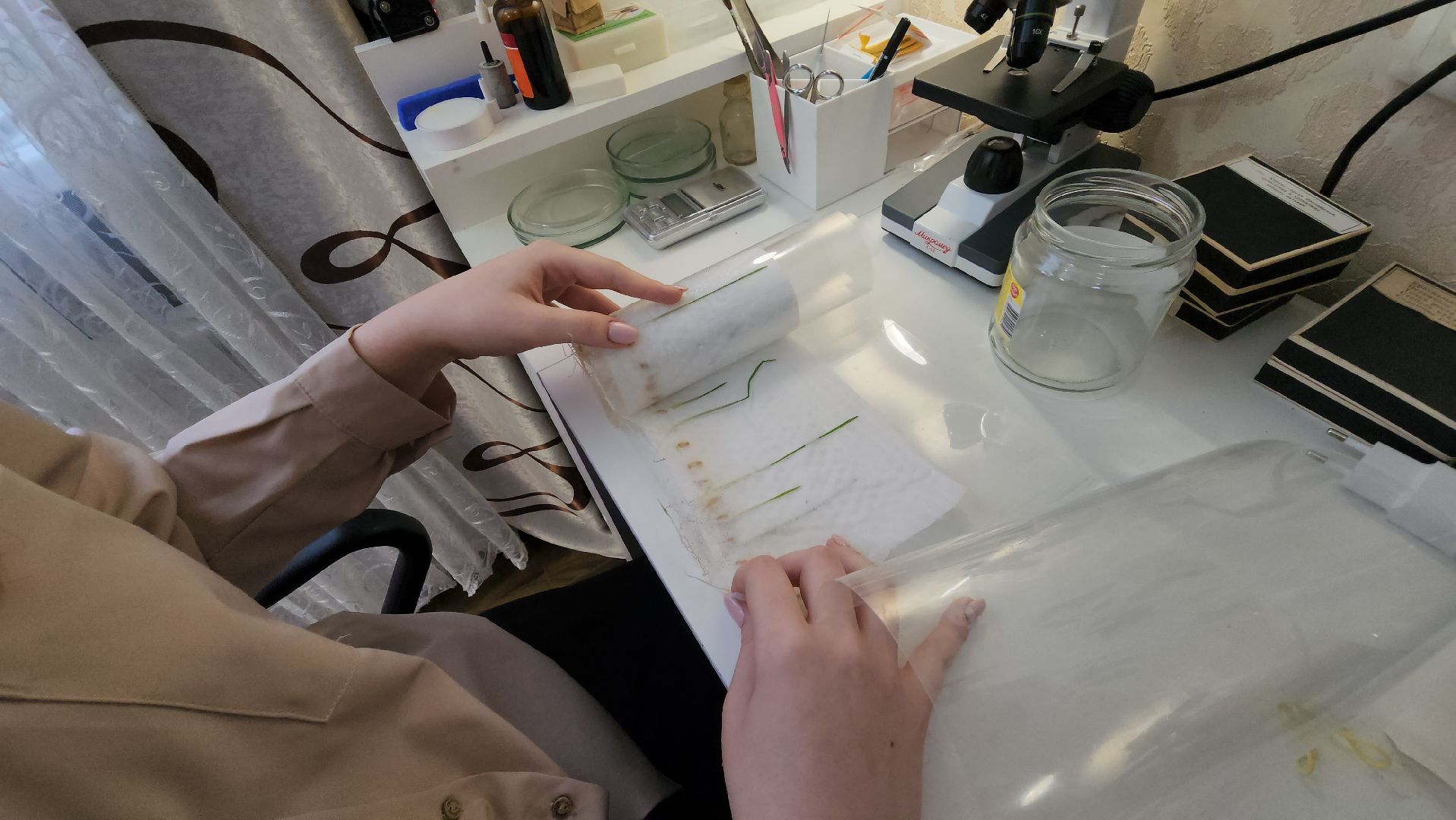 ступино, малино, образование,