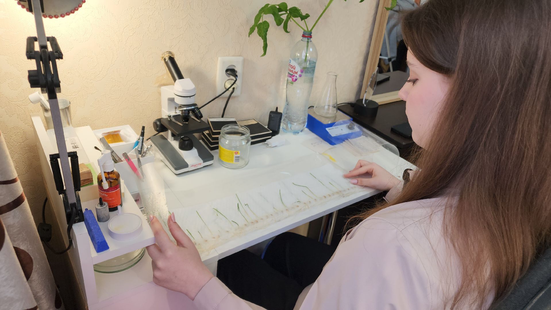 ступино, малино, образование,