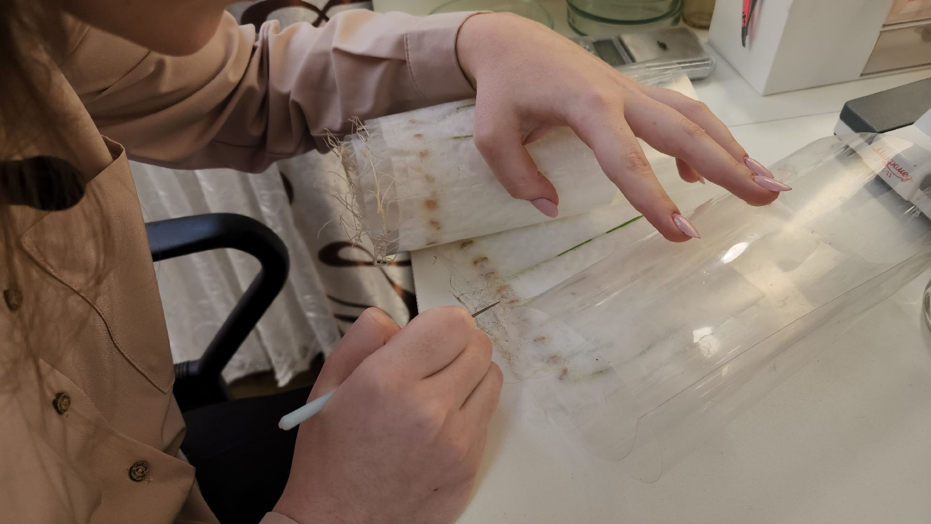 ступино, малино, образование,