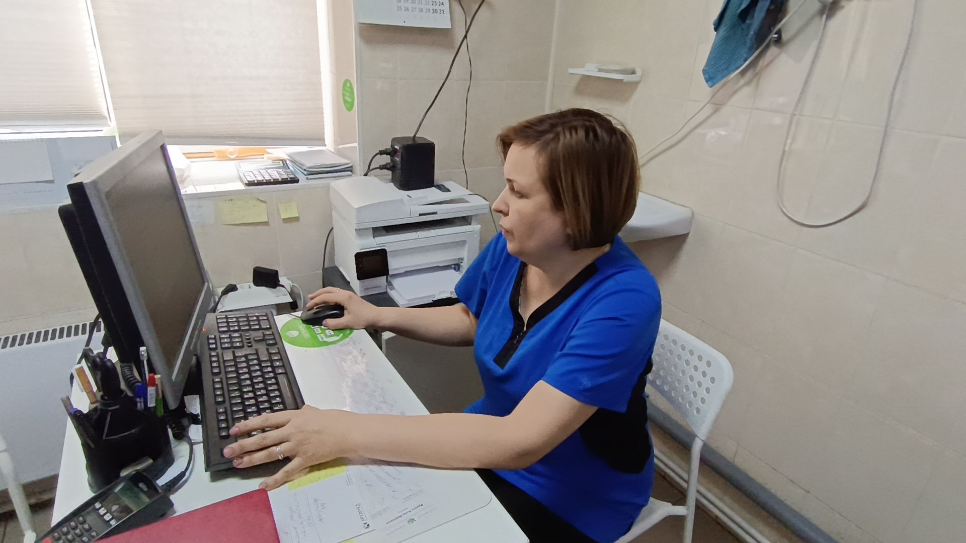 ветеринарный врач, кошка, лобня,