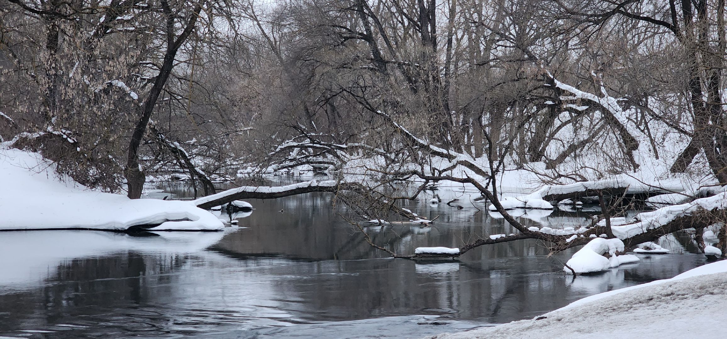 Коломна, выездная администрация,