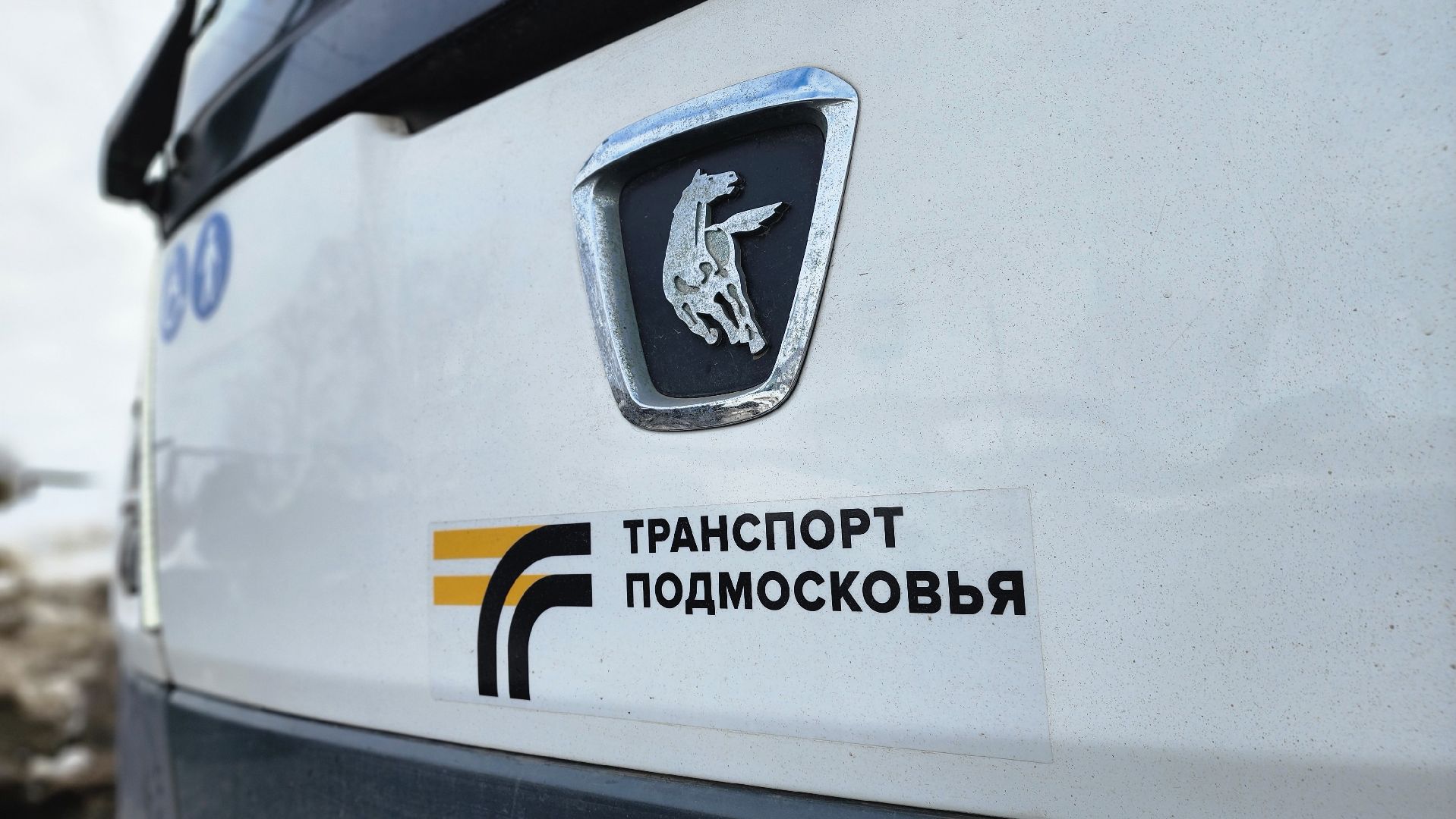 трнаспорт, общественный транспорт, мострансавто, Лосино-Петровский,