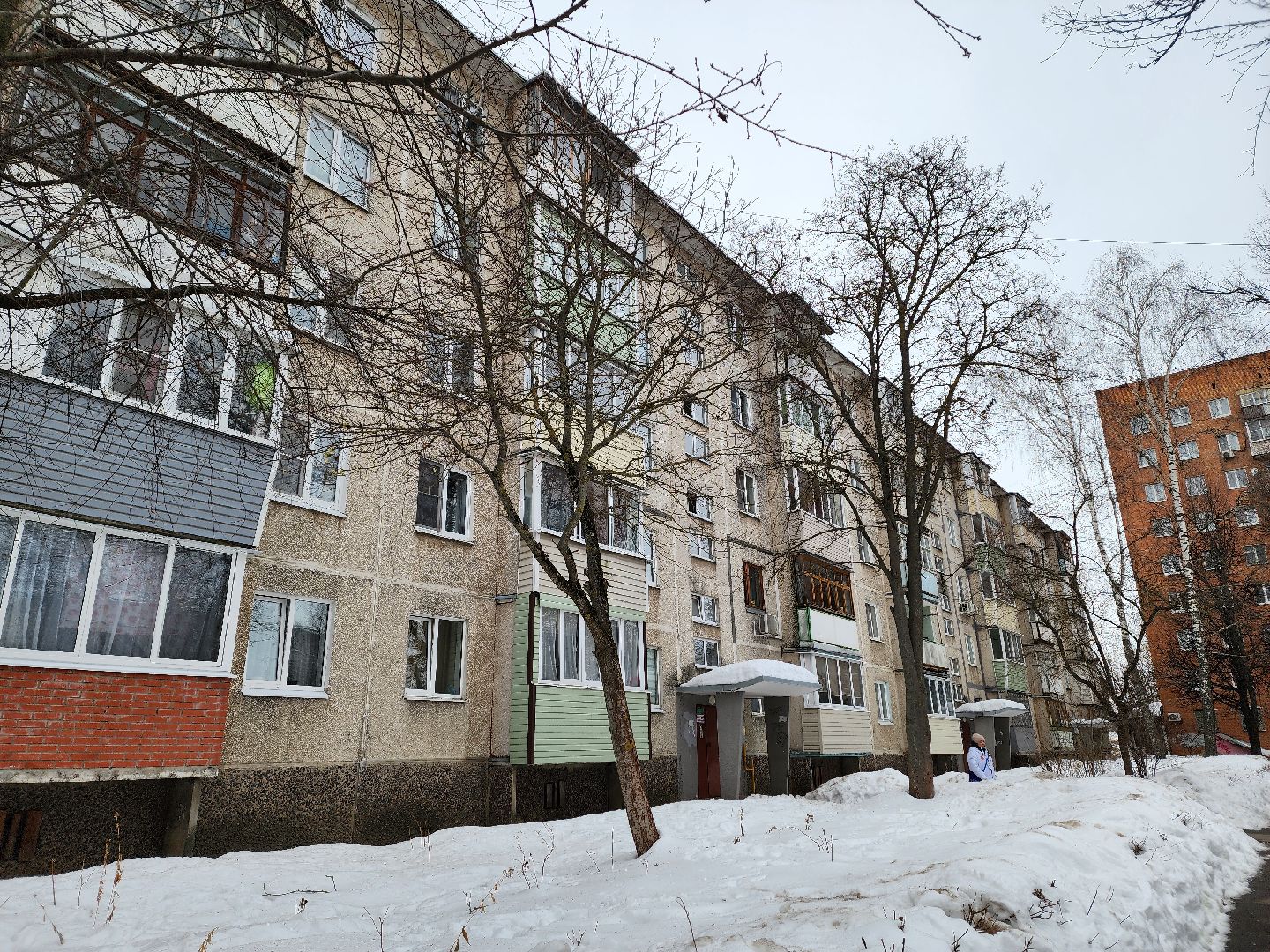 воскресенск, выборы, выборы президента 2024, информаторы, уик,