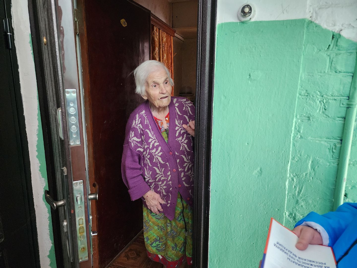 информаторы уик, выборы 2024,