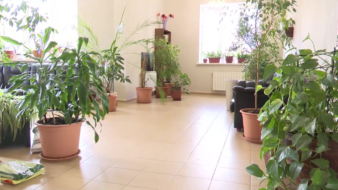 Реутов, ЖКХ, ремонт подъездов, входная группа, программа