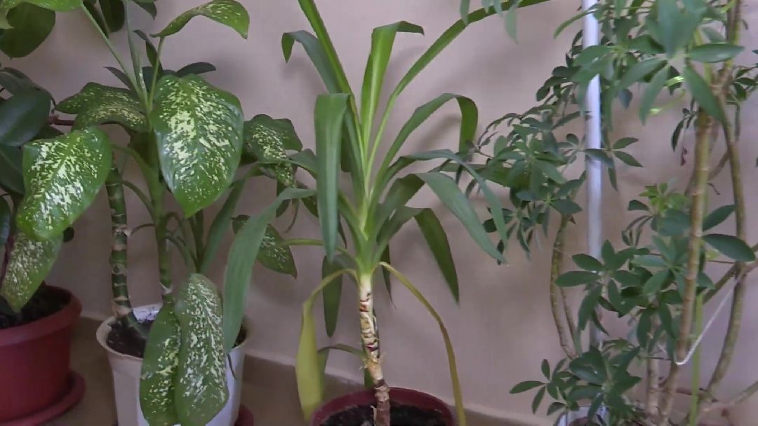 Реутов, ЖКХ, ремонт подъездов, входная группа, программа