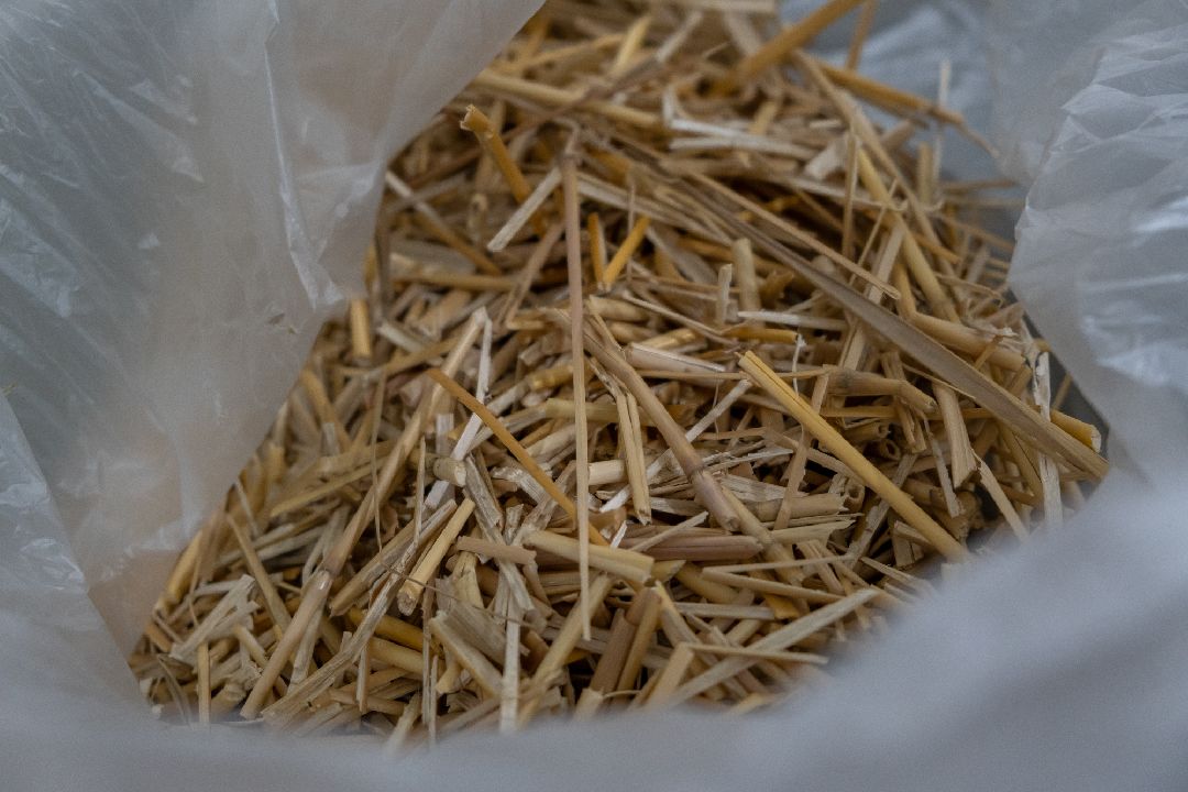 Биотехкомпозит, Ликино-Дулево, Орехово-Зуево, лаборатория, наука, мискантус, губернатор, Заголовацкий.