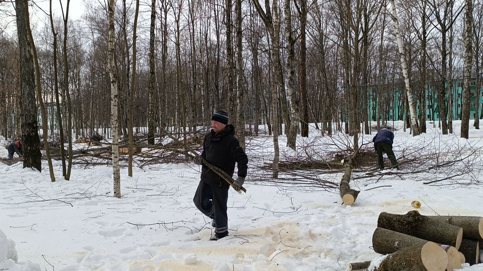 парк, реконструкция, лобня,