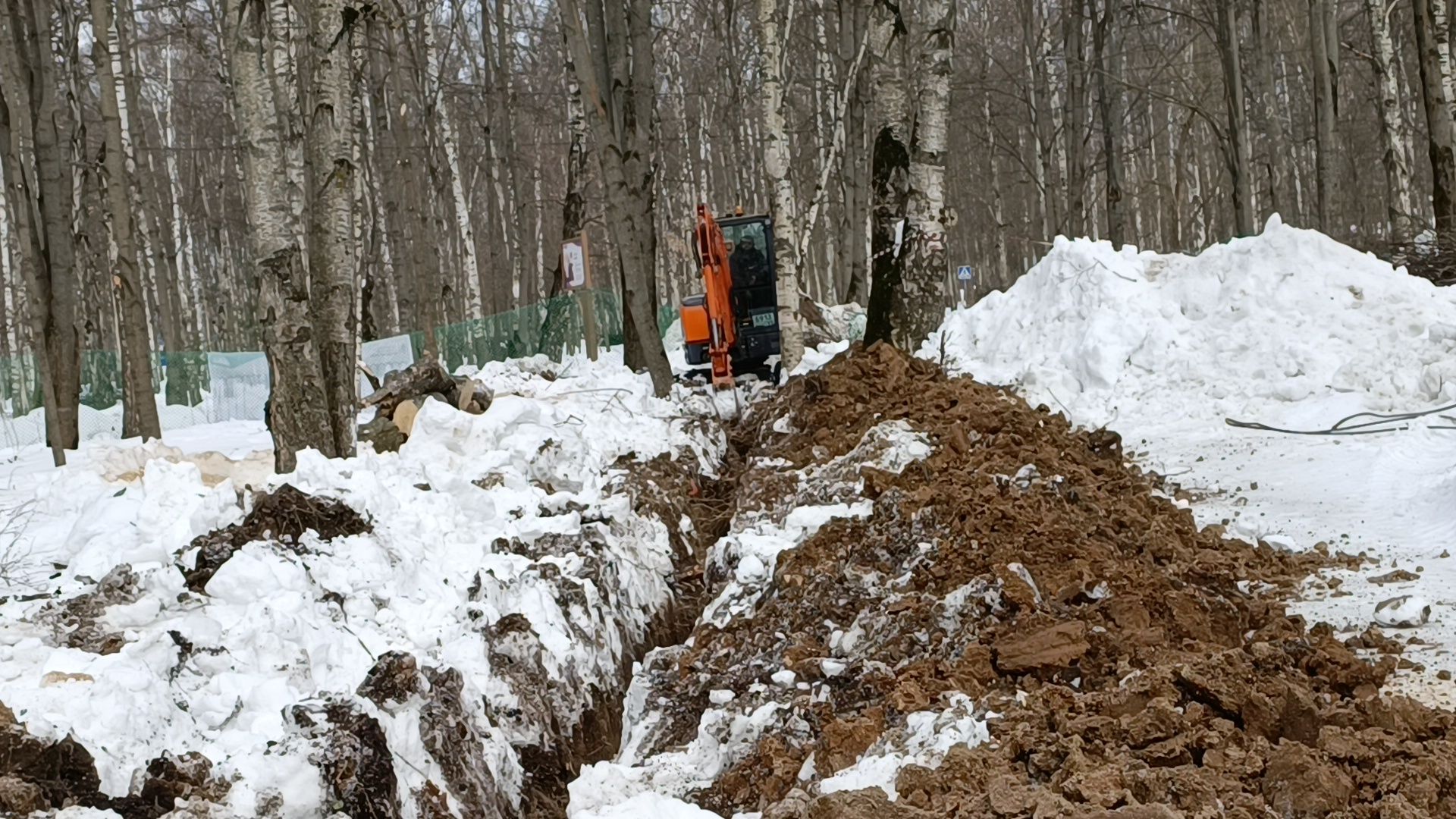 парк, реконструкция, лобня,