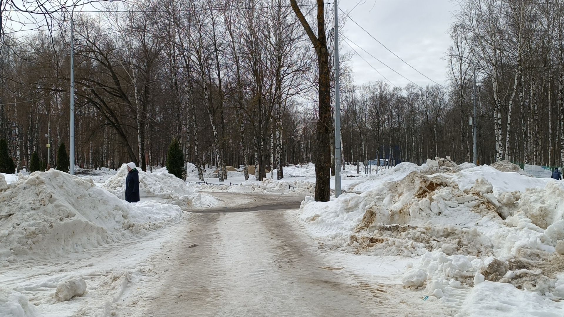 парк, реконструкция, лобня,