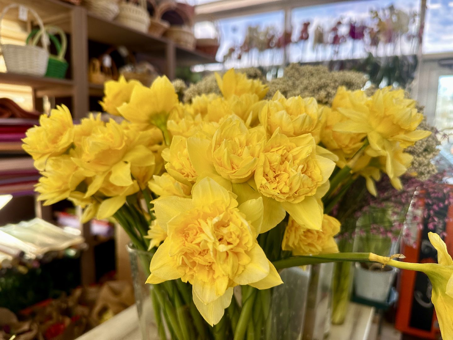 Клин, общество, цветы, советы, тренды, 8 марта,