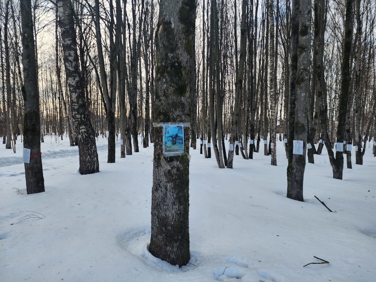 Звенигород, благоустройство парков,