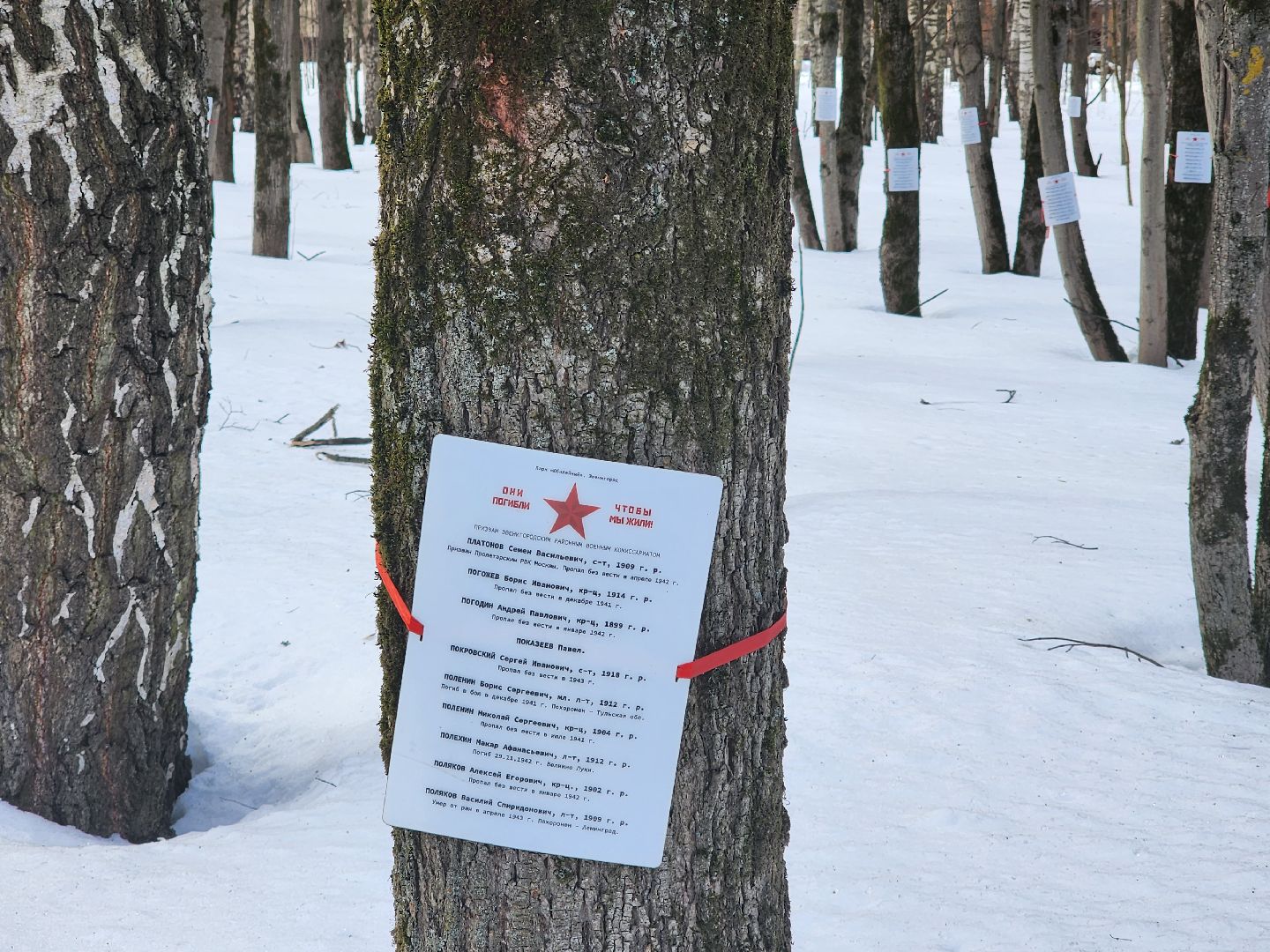 Звенигород, благоустройство парков,