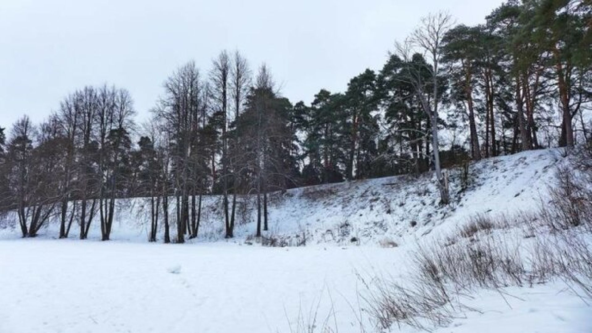 Звенигород, благоустройство парков,