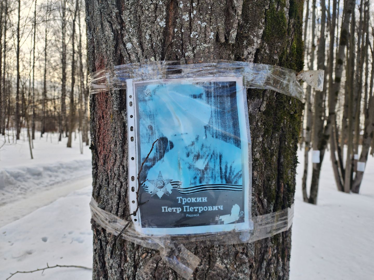 Звенигород, благоустройство парков,