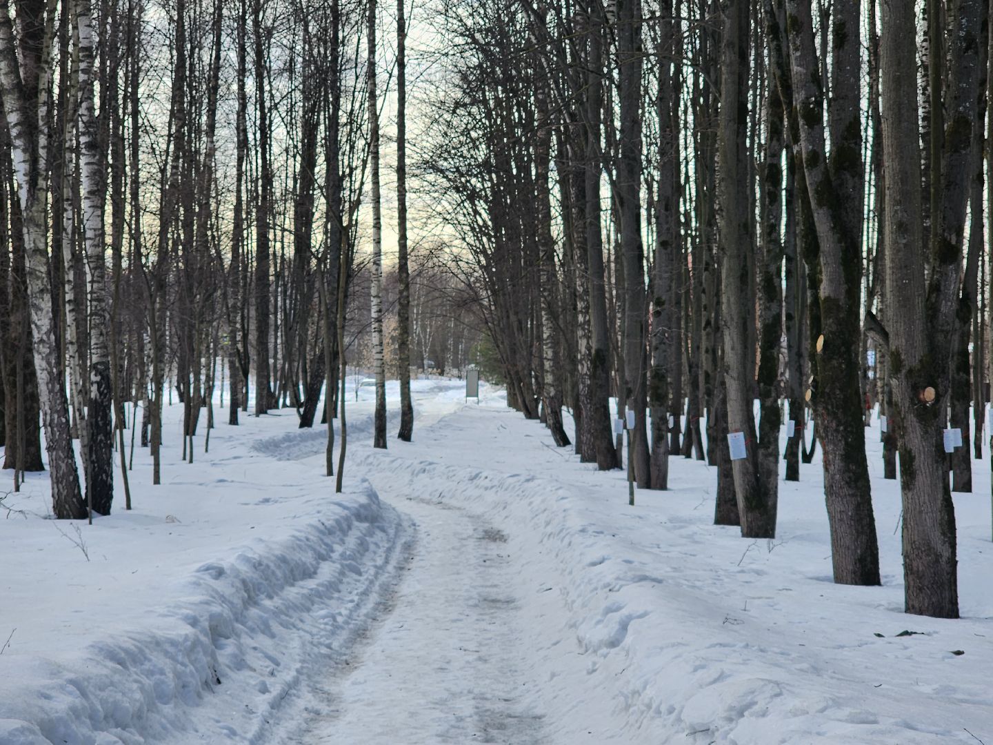 Звенигород, благоустройство парков,