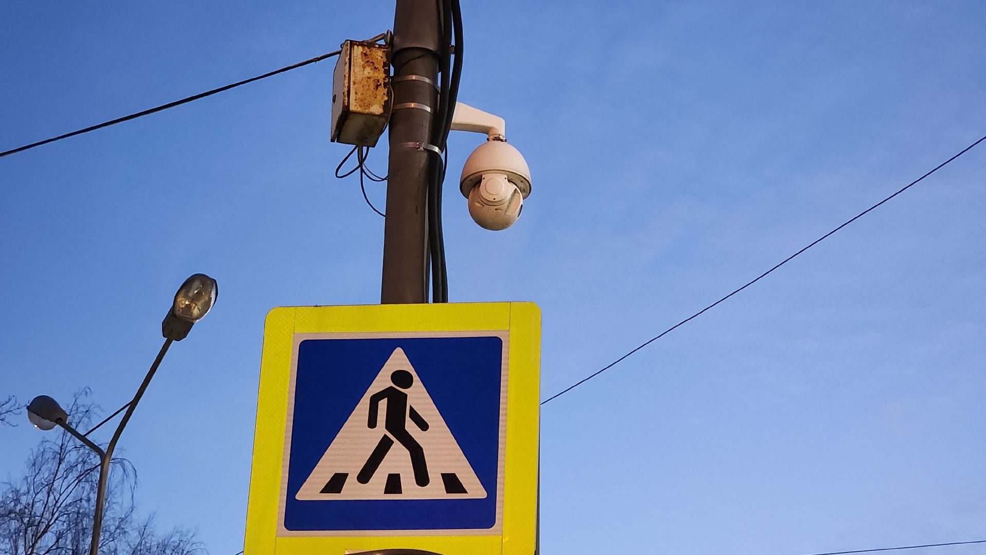 дороги подмосковья, безопасность на дорогах, пешеходный переход,