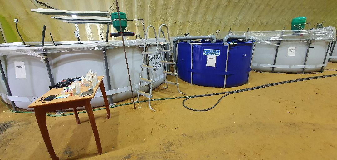 производство, Минсельхоз, грант, Домодедово