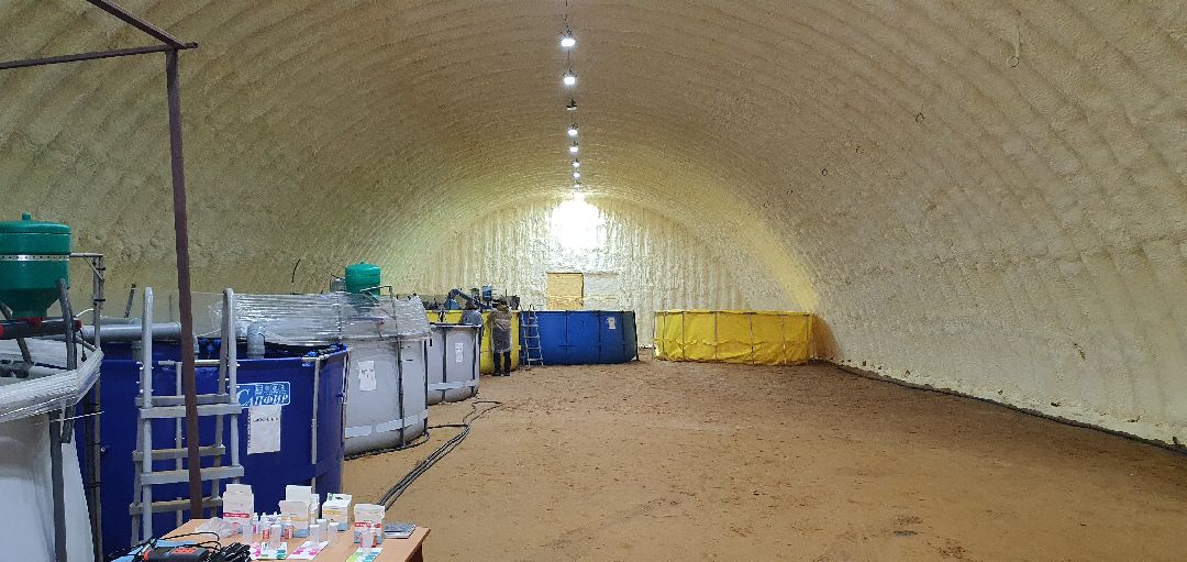 производство, Минсельхоз, грант, Домодедово