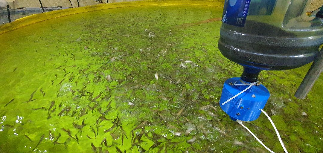 производство, Минсельхоз, грант, Домодедово