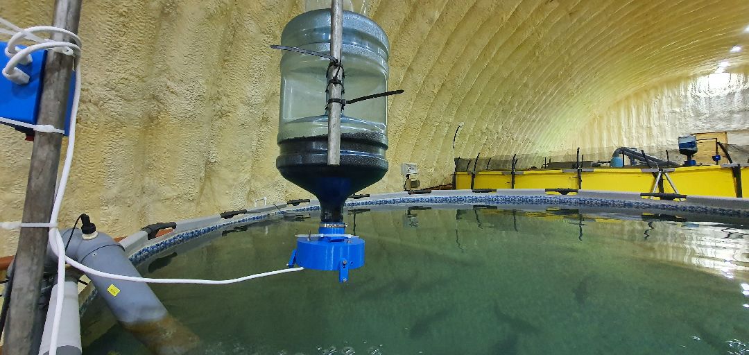 производство, Минсельхоз, грант, Домодедово