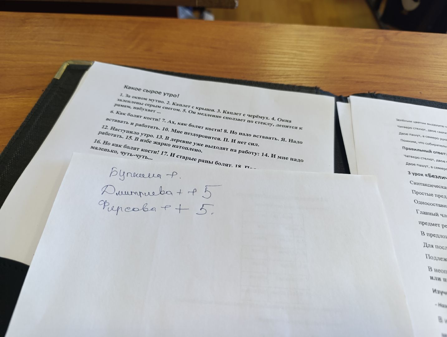 Бронницы, День самоуправления, Школа 2,