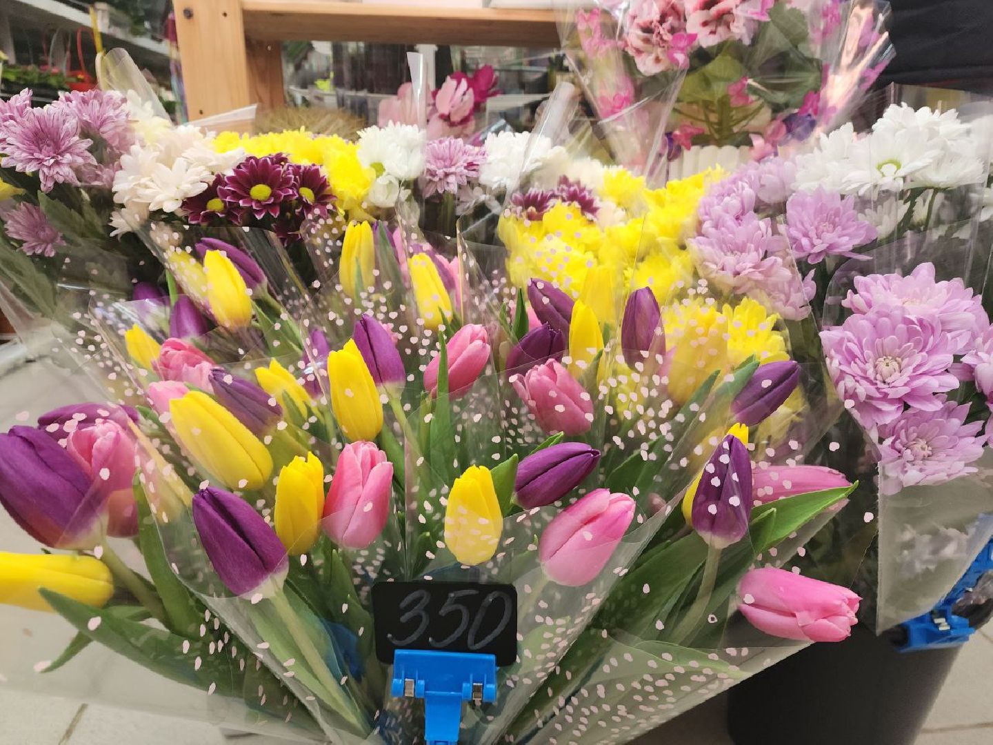 пущино, 8 марта,