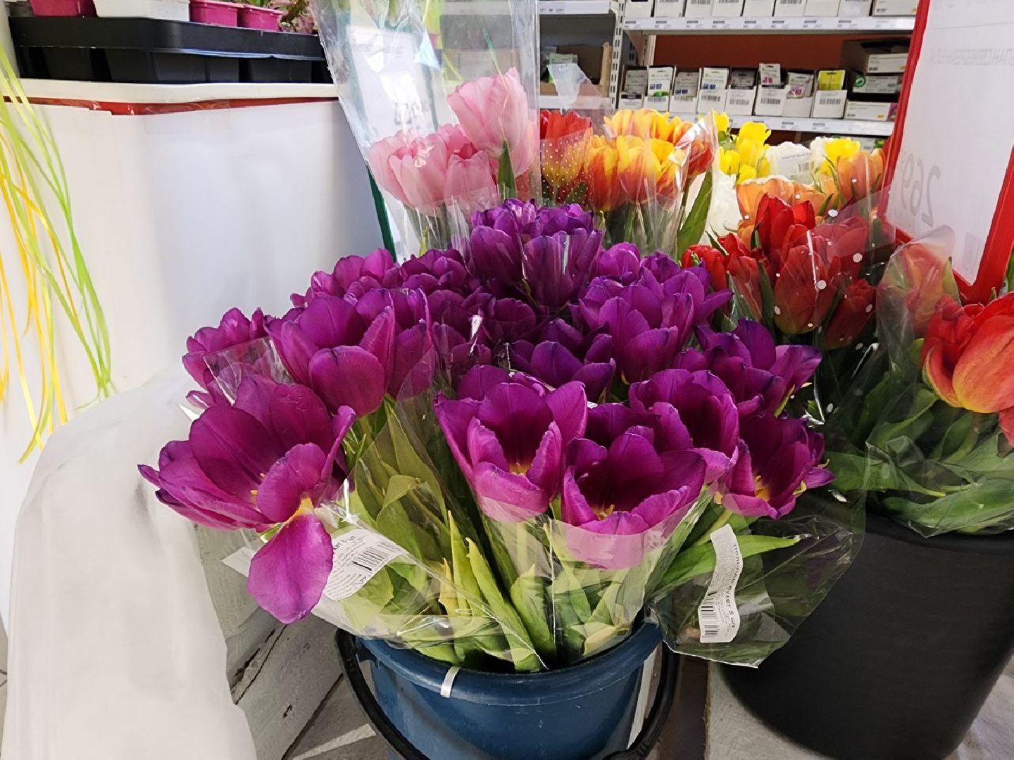 пущино, 8 марта,