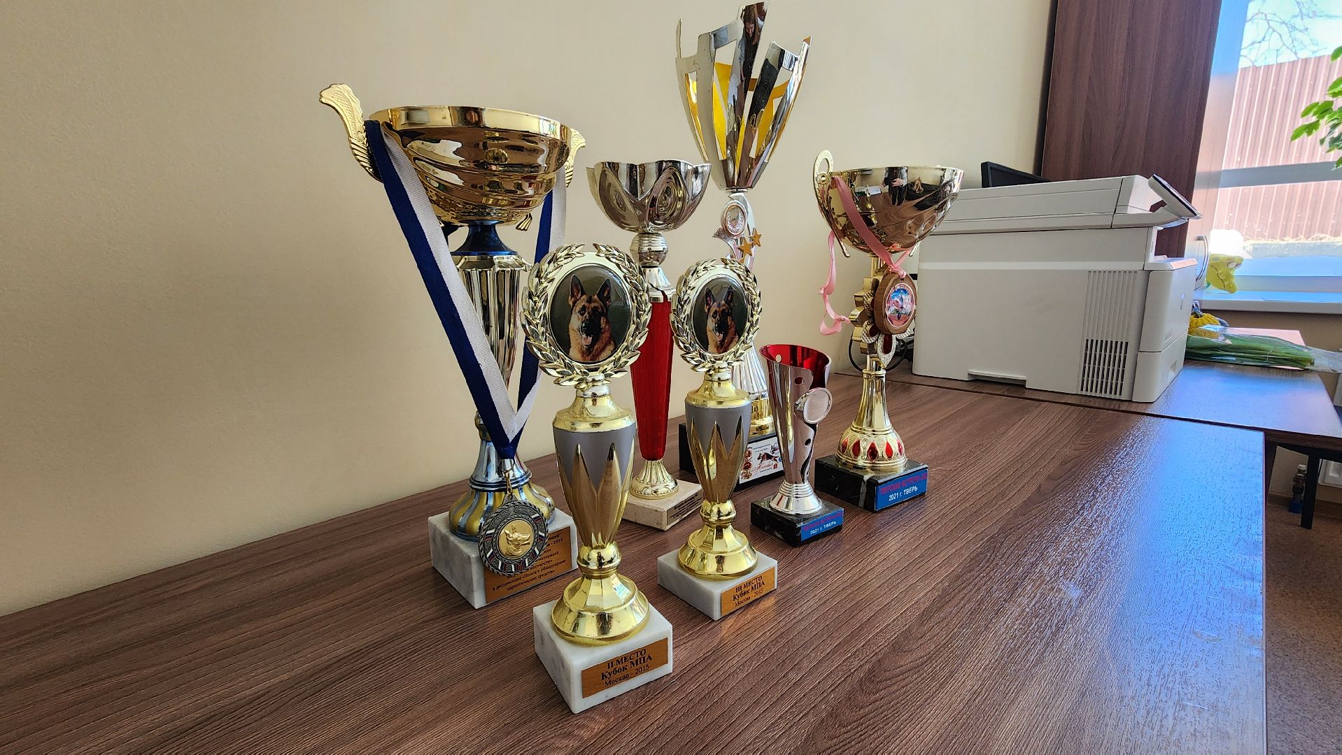 Солнечногорск, полиция, кинолог, история,