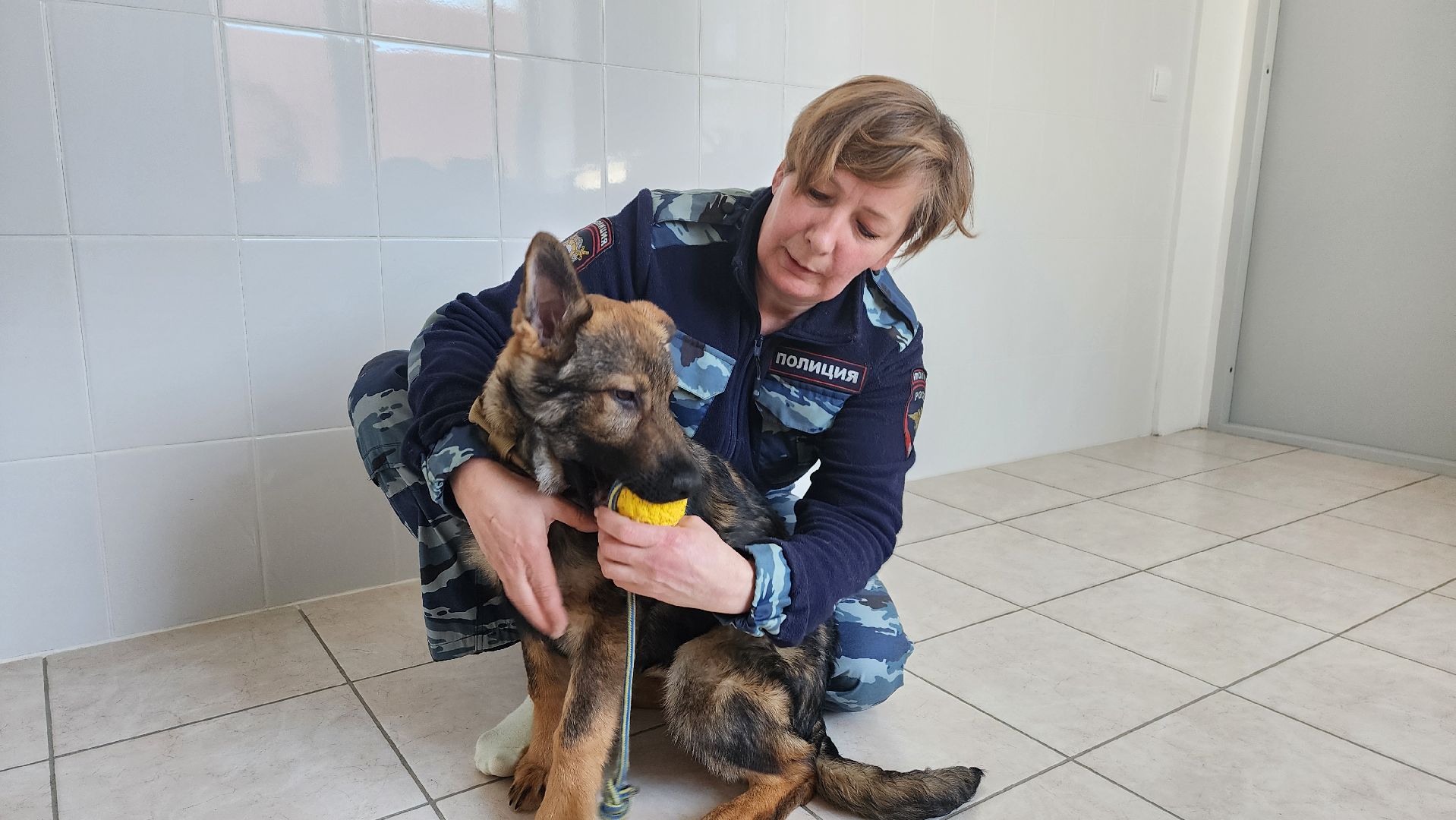 Солнечногорск, полиция, кинолог, история,