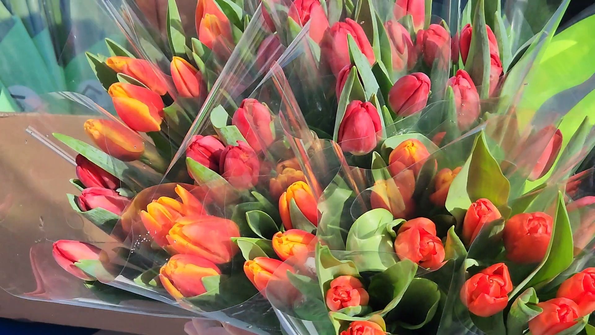 госавтоинспекция, Дубна, Цветы для автоледи, Рейд,