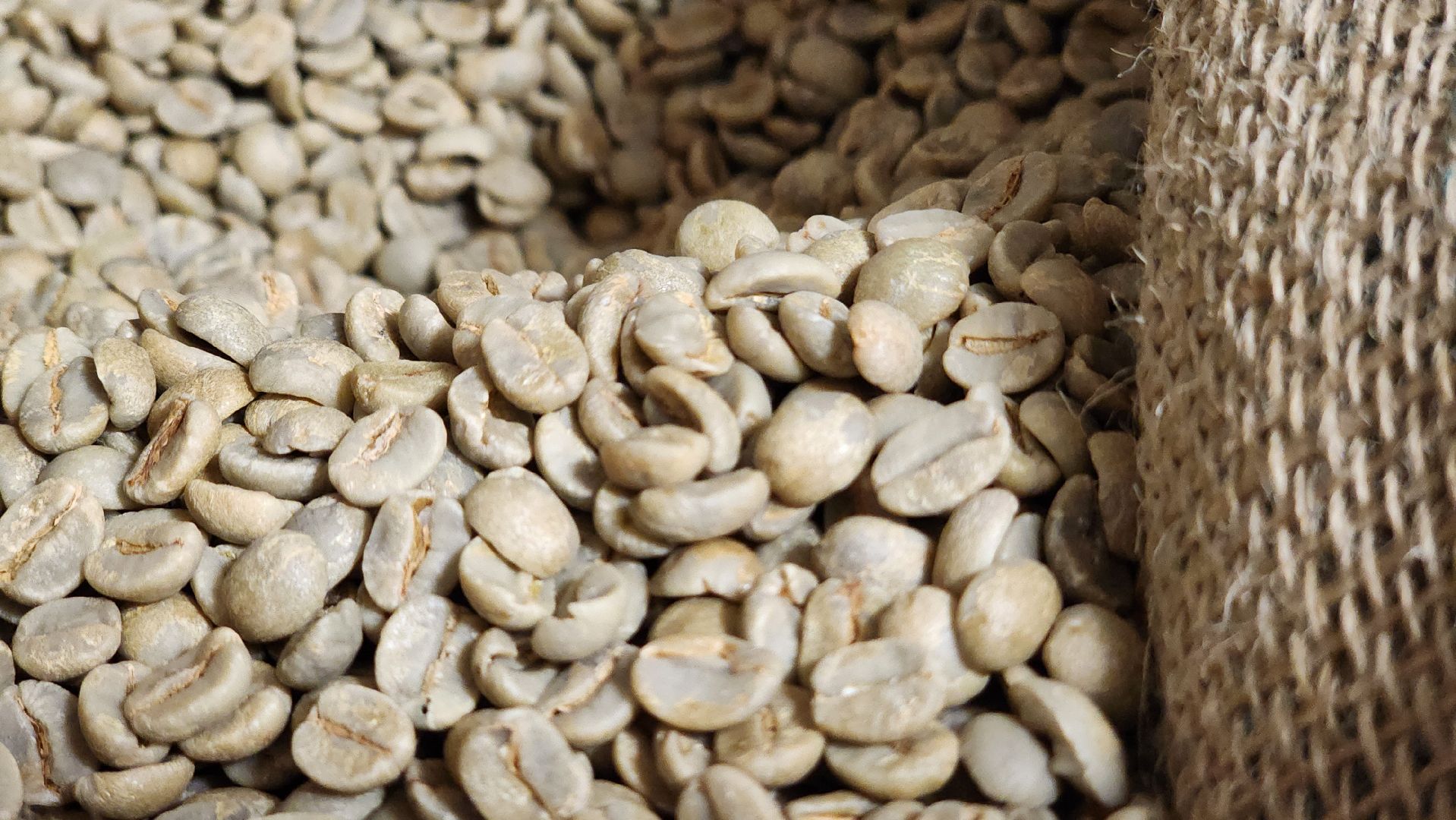 протвино, экономика, обжарка кофе, предприниматель, производство,