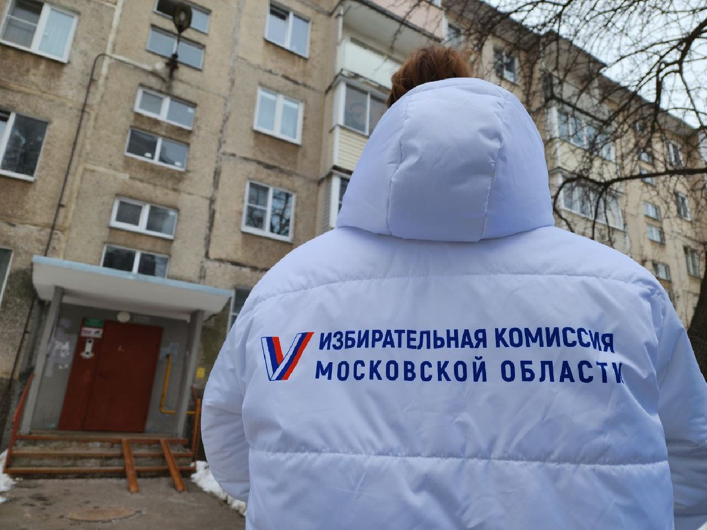 воскресенск, выборы, информаторы, жители,