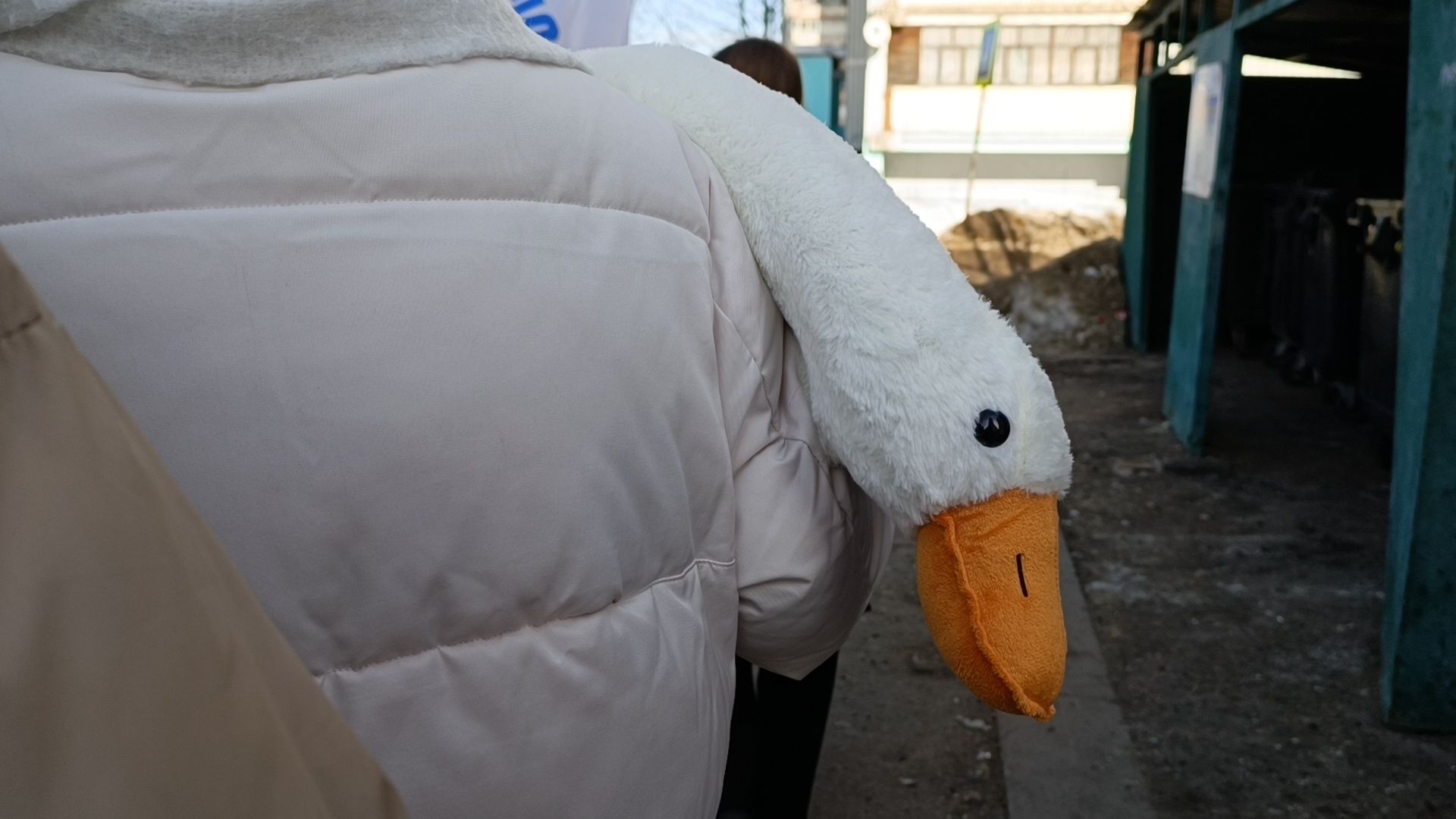 лобня, акция, 8 марта, молодая гвардия,