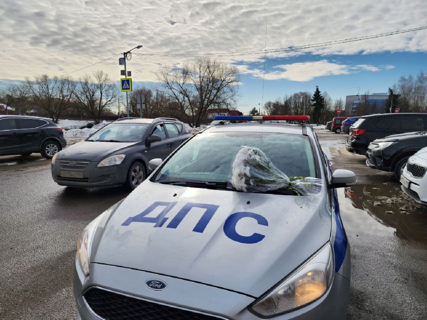 чехов, гибдд, девушка-инспектор, 8 марта, профессия,