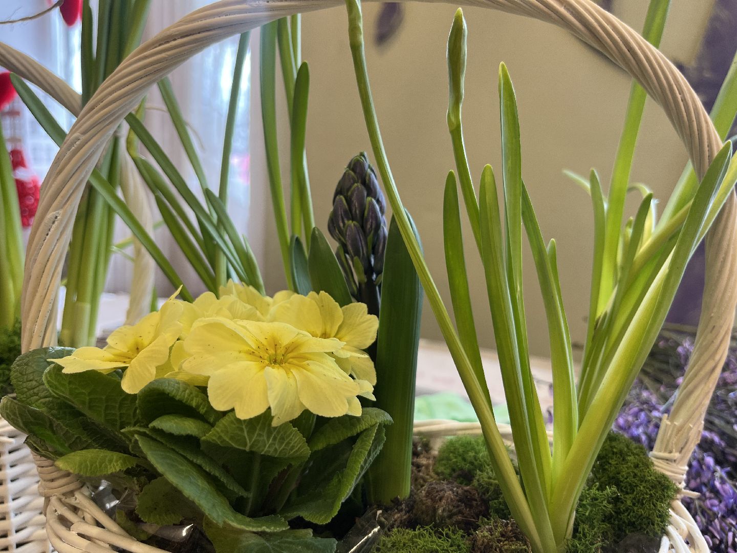 наро-фоминск, язык цветов, женский день, как выбрать цветы,