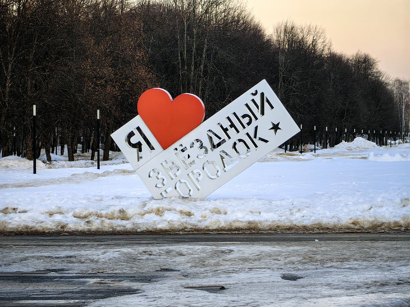 выборы 2024, комиссия, избирательный участок, жители,звездный городок,